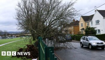 People will die in storm power cuts, councillor says