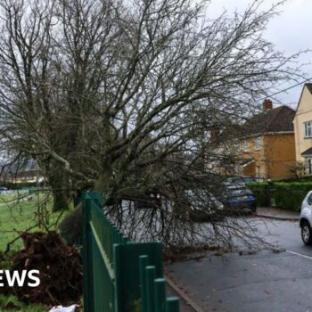 People will die in storm power cuts, councillor says