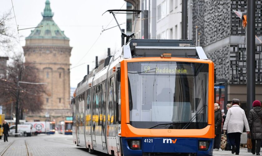 Gleich zwei Mal sind in Mannheim Straßenbahnen mit einem Auto zusammengestoßen. (Archivbild) Foto: Uwe Anspach/dpa