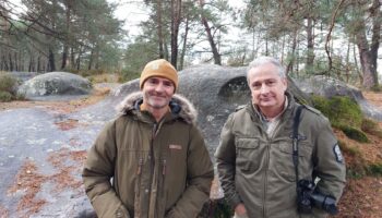 Pour Noël, offrez une sortie avec les meilleurs photographes de la forêt de Fontainebleau