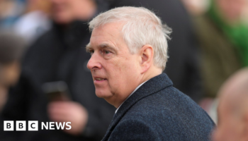 Prince Andrew says he 'ceased all contact' with alleged Chinese spy