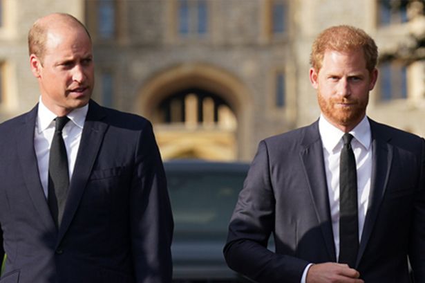 Prince Harry and  William's relationship tipped to be 'mended'  by one member of Royal Family