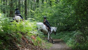 Randonnée : et si vous faisiez cet été le tour de l’Ile-de-France… à cheval ?