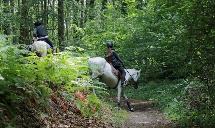 Randonnée : et si vous faisiez cet été le tour de l’Ile-de-France… à cheval ?