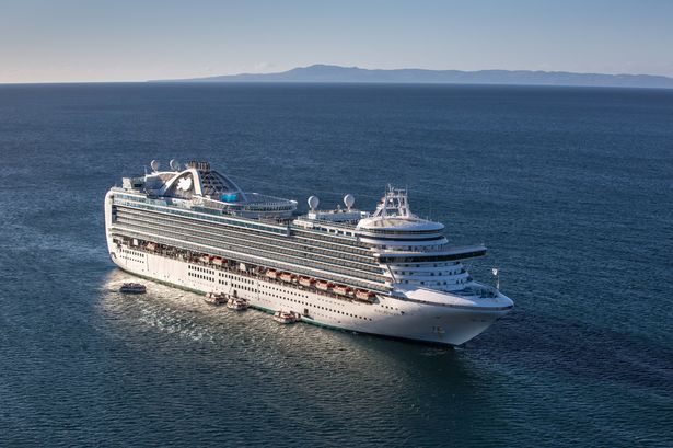 Ruby Princess cruise horror as passenger, 72, falls overboard sparking major search