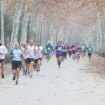 San Silvestre en Sevilla 2024, la carrera para despedir el año corriendo: fecha y recorrido