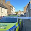 Schoolgirl, 8, killed 'trying to save mother from attack'