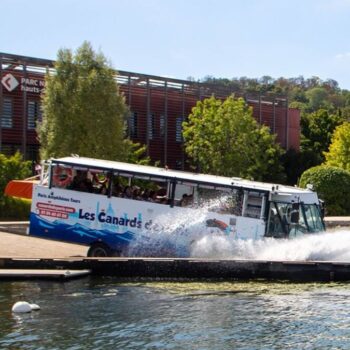 Sèvres : les sauveteurs en mer et Marcel le Canard s’allient pour sauver une femme de la noyade