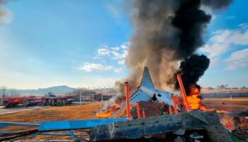 South Korea plane crash: 47 killed as aircraft carrying 175 passengers explodes at Muan International Airport