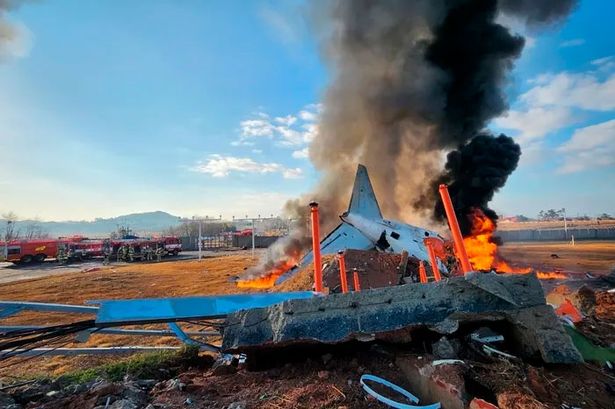 South Korea plane crash: 47 killed as aircraft carrying 175 passengers explodes at Muan International Airport