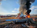 South Korea plane crash horror: At least 28 dead after aircraft carrying 175 passengers and six crew crashes off runway and erupts into ball of flames - as haunting footage shows lead-up to smash