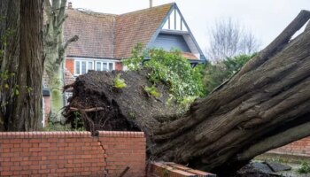 Storm Darragh claims second death as Birmingham man crushed in car by falling tree