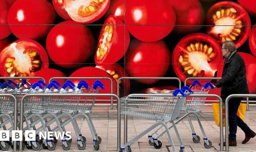 Supermarkets 'putting profits above human rights', MP says