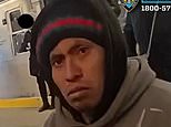 Suspect arrested after woman was set on fire and burned to death on the subway in broad daylight