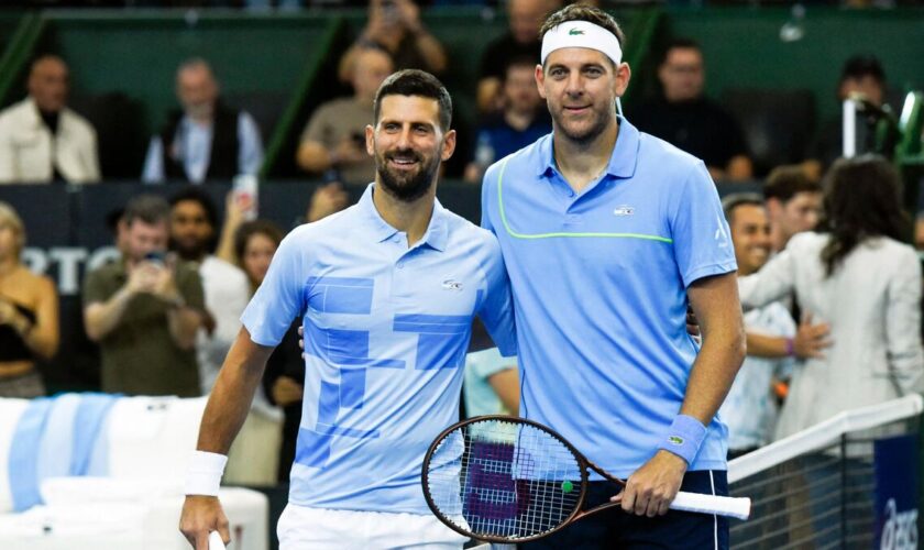 Tennis : « Martin est un exemple pour nous », l’hommage de Djokovic pour les touchants adieux de Del Potro