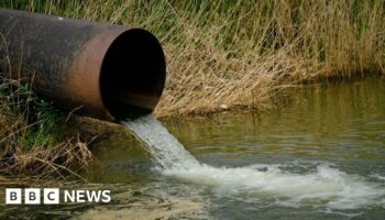 Thames Water sewage spills soar as firm fights for survival