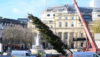 Trafalgar Square Christmas Tree branded 'national disgrace' as Londoners furious yet again