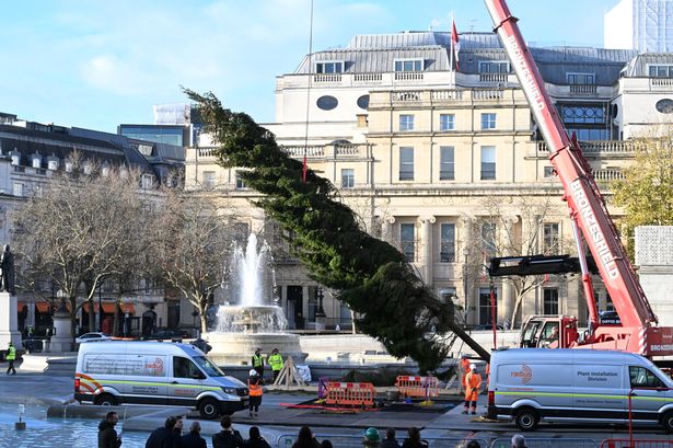 Trafalgar Square Christmas Tree branded 'national disgrace' as Londoners furious yet again