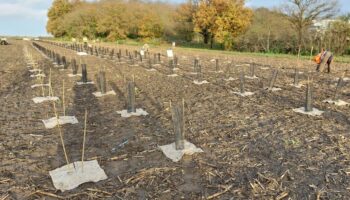 Trafic de terres polluées dans la forêt de Maubuisson : des gens du voyage « aux pratiques mafieuses » arrêtés