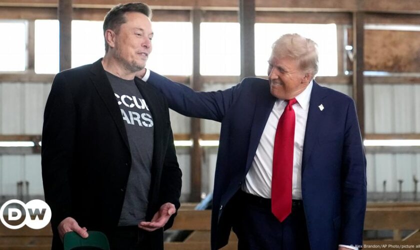 Trump sides with Musk in right-wing visa debate