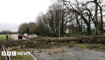 Two men killed by falling trees as Storm Darragh rages