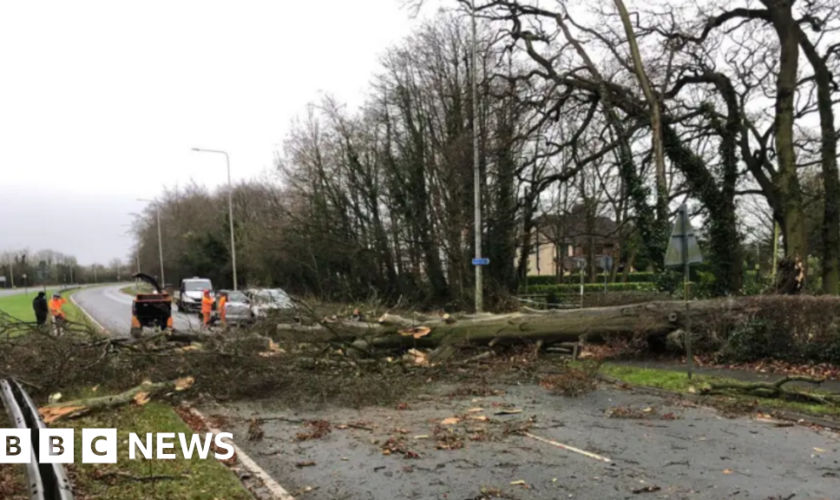 Two men killed by falling trees as Storm Darragh rages