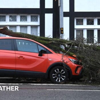 Fallen tree on red car on street with man looking on