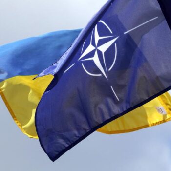 Ukraine in die NATO - sofort! Geht das?