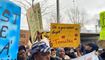 « Un voisin a tué 26 rats dans sa cuisine » : en colère, ces locataires de Trappes manifestent chez leur bailleur