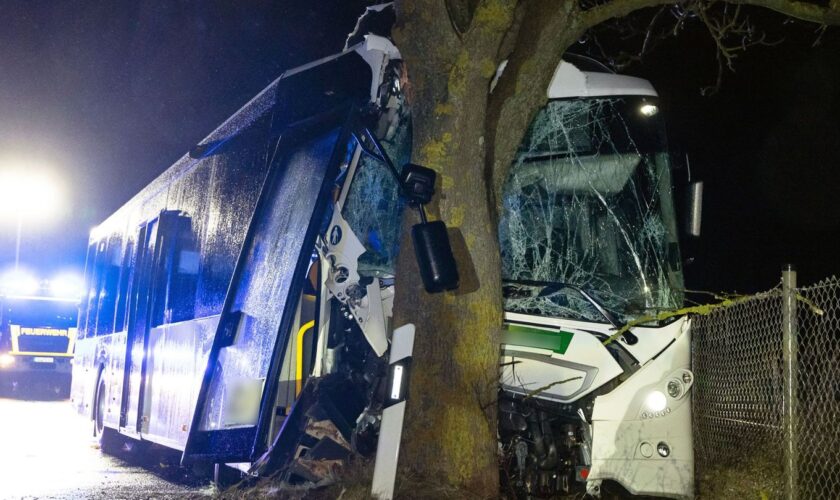 Zwei Menschen wurden beim Unfall eines Linienbusses nahe Ilmenau verletzt. Foto: Steffen Ittig/News5/dpa