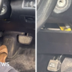 Venomous snake slithers up driver's leg on Australia motorway