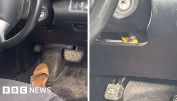 Venomous snake slithers up driver's leg on Australia motorway