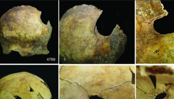 Violencia extrema, desmembramientos, canibalismo... Así fue la peor matanza prehistórica de Gran Bretaña hace 4.000 años