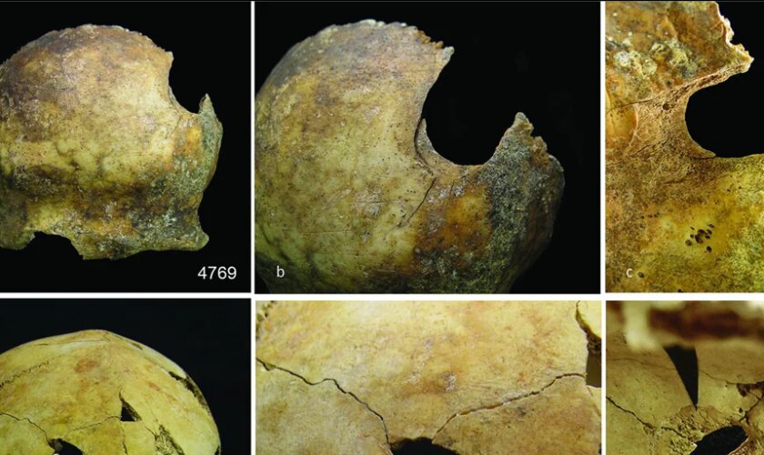 Violencia extrema, desmembramientos, canibalismo... Así fue la peor matanza prehistórica de Gran Bretaña hace 4.000 años