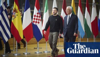 Volodymyr Zelenskyy tells Ukraine’s diplomats to fight for Nato membership