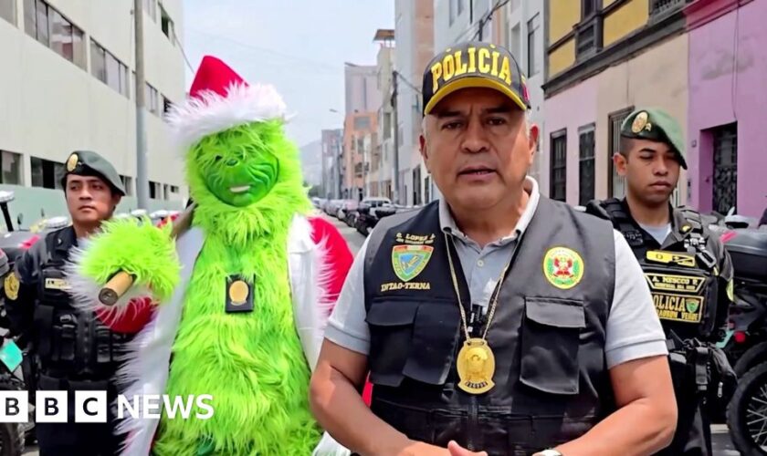 Watch: Police officer dressed as the Grinch leads drug raid