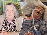 Well-wishers raise £14k to help fly home Brit grandmother who is still stranded in Florida hospital without travel insurance after she was struck down with Covid during Disney trip