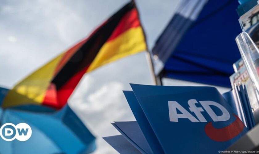 Wie gefährlich ist die AfD für die Demokratie?