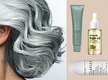 Worried you're losing your hair after the menopause? These are the products top experts recommend for older women to restore strength and gloss to their locks