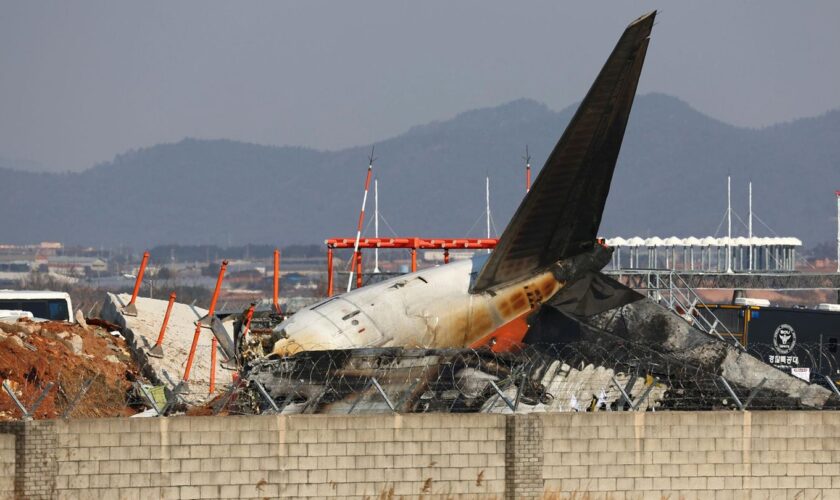 Zwei Überlebende: Aufnahmen zeigen Flugzeugunglück in Südkorea