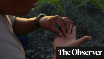 ‘White people shouldn’t mess with it’: Native American church laments psychedelic cactus shortage