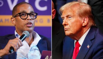 Don Lemon stands by rant on Trump supporters after online backlash: 'Too f---ing bad'