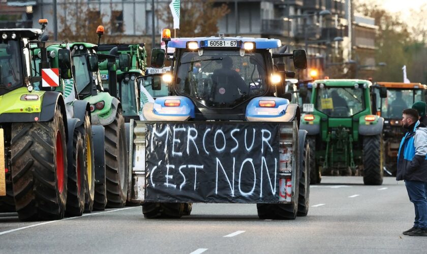 Manifestation d'agriculteurs de la FNSEA et de la Coordination rurale contre l'accord de libre-échange UE-Mercosur, le 18 novembre 2024 à Strasbourg, dans le Bas-Rhin