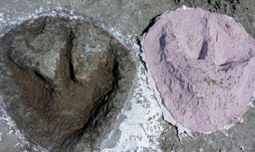 UK's biggest ever dinosaur trackway site has been discovered in a quarry in Oxfordshire