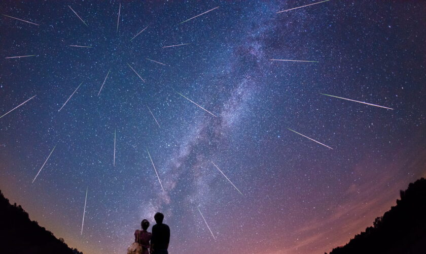 Etoiles filantes des Quadrantides : nos conseils pour ne rien rater cette nuit