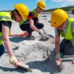 Dino-Spuren in Großbritannien – Forscher machen spektakulären Fund