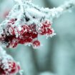 Deutscher Wetterdienst warnt vor Glätte am Sonntag