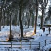 Warnings for snow and freezing rain across the UK over the weekend