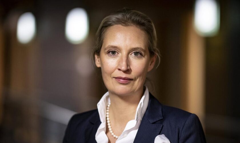 Alice Weidel: „Wir freuen uns sehr auf das Gespräch mit Elon Musk“