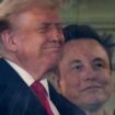 Donald Trump and Elon Musk. Pic: AP